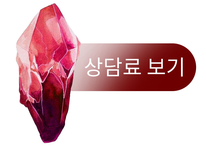 상담료 보기 버튼