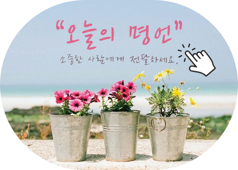 클릭 전 이미지